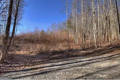 Lt 131 &amp; 132 Pack Creek Road, Blue Ridge, GA 30513 - Photo 18