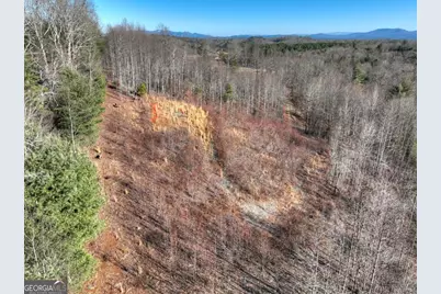 Lt 131 &amp; 132 Pack Creek Road, Blue Ridge, GA 30513 - Photo 12