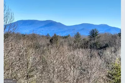 Lt 131 &amp; 132 Pack Creek Road, Blue Ridge, GA 30513 - Photo 14