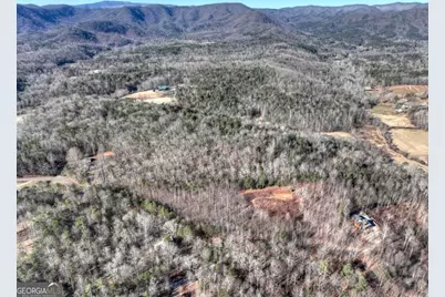 Lt 131 &amp; 132 Pack Creek Road, Blue Ridge, GA 30513 - Photo 4