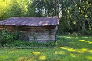 1312 Fairview School Rd, Demorest, GA 30535 - Photo 10
