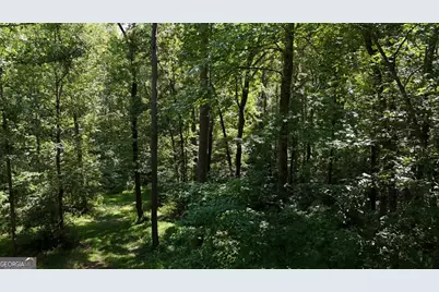 115-Lot 101/ Pa Shoal Creek Dr, Sharpsburg, GA 30277 - Photo 2