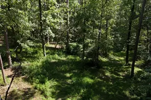 115-Lot 101/ Pa Shoal Creek Dr, Sharpsburg, GA 30277 - Photo 1