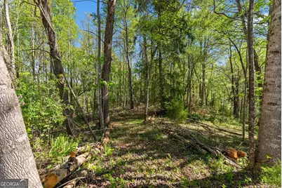 153 Trackrock Gap Road, Blairsville, GA 30512 - Photo 50