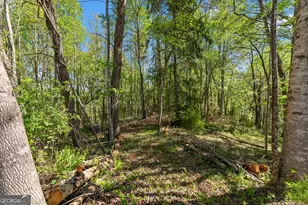 153 Trackrock Gap Rd, Blairsville, GA 30512 - Photo 50