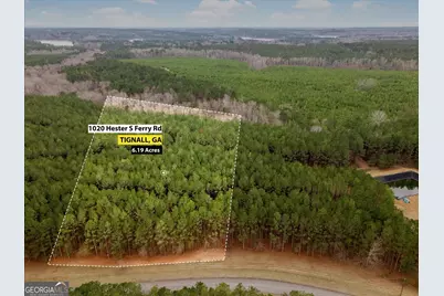 1020 Hesters Ferry Road, Tignall, GA 30668 - Photo 2