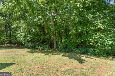 225 Vermont Street, Demorest, GA 30535 - Photo 46