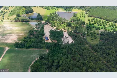 2218 Pittman Road, Cobbtown, GA 30420 - Photo 2