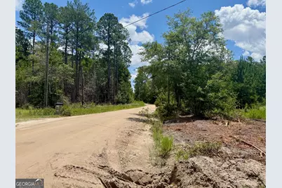 1265 Bradwell Dunham Road NE, Ludowici, GA 31316 - Photo 44