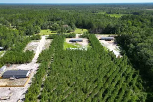 1265 Bradwell Dunham Rd NE, Ludowici, GA 31316 - Photo 44