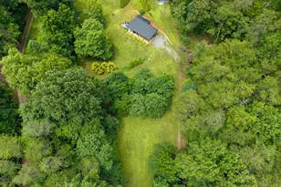 1824 Colwell Rd, Blue Ridge, GA 30513 - Photo 50