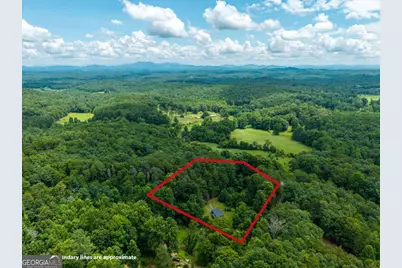 1824 Colwell Road, Blue Ridge, GA 30513 - Photo 46