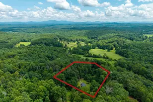1824 Colwell Rd, Blue Ridge, GA 30513 - Photo 46