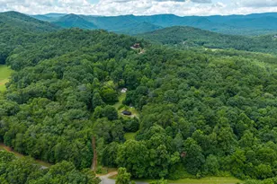 1824 Colwell Rd, Blue Ridge, GA 30513 - Photo 48
