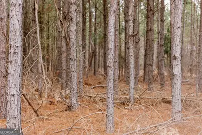 0 Bunn Store Road #TRACT 2, Midville, GA 30441 - Photo 6