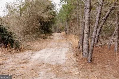 0 Bunn Store Road #TRACT 2, Midville, GA 30441 - Photo 12