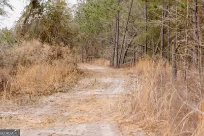 0 Bunn Store Road #TRACT 2, Midville, GA 30441 - Photo 1
