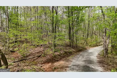 0 Shenandoah Drive, Cleveland, GA 30528 - Photo 1