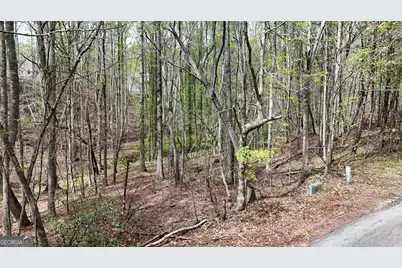 0 Shenandoah Drive, Cleveland, GA 30528 - Photo 4
