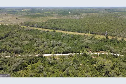 0 Butler Johnson Road, White Oak, GA 31568 - Photo 2