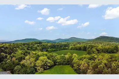 233 Ivy Ridge, Ellijay, GA 30536 - Photo 26