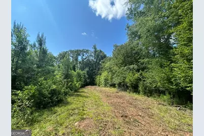 47 Mayfield Road, Warrenton, GA 30828 - Photo 8