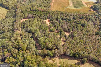 0 Turner Road, Cleveland, GA 30528 - Photo 20
