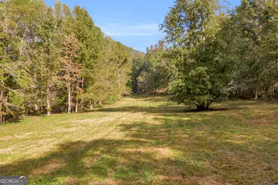 0 Turner Road, Cleveland, GA 30528 - Photo 6