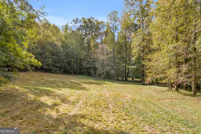 Tr 5 Turner Road, Cleveland, GA 30528 - Photo 4