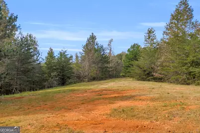 Tr 6 Turner Road, Cleveland, GA 30528 - Photo 2