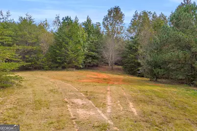 Tr 6 Turner Road, Cleveland, GA 30528 - Photo 4
