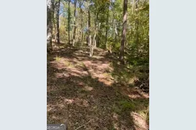 48 Franklin Road, Eatonton, GA 31024 - Photo 4