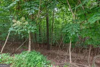 Lot 82 Thirteen Hundred, Blairsville, GA 30512 - Photo 4