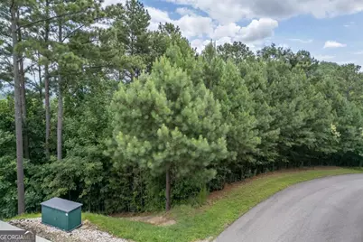 Lot 82 Thirteen Hundred, Blairsville, GA 30512 - Photo 8