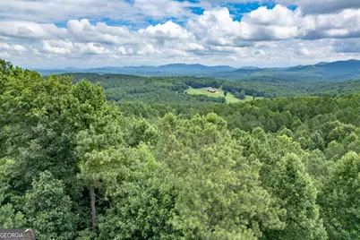Lot 82 Thirteen Hundred, Blairsville, GA 30512 - Photo 2