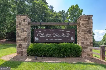Lot 82 Thirteen Hundred, Blairsville, GA 30512 - Photo 12