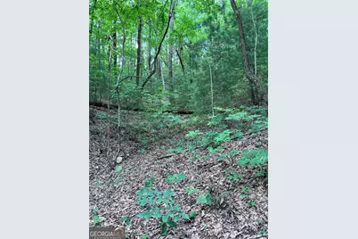 829 Morton Drive, Ellijay, GA 30540 - Photo 8