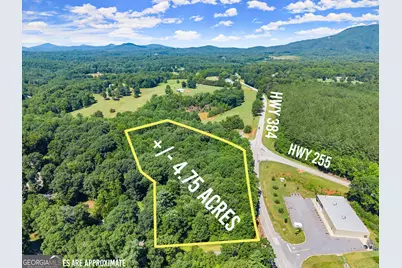 0 Hwy 384, Cleveland, GA 30528 - Photo 2