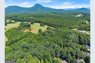 0 Hwy 384, Cleveland, GA 30528 - Photo 30