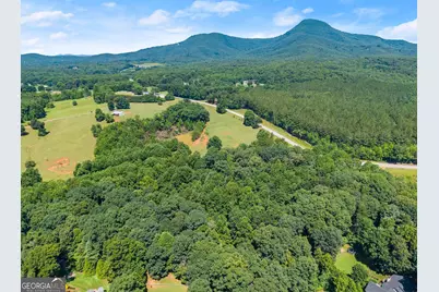 0 Hwy 384, Cleveland, GA 30528 - Photo 32