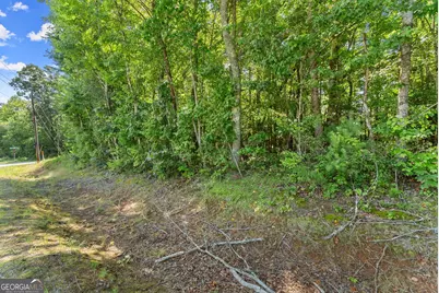 0 Hwy 384, Cleveland, GA 30528 - Photo 36