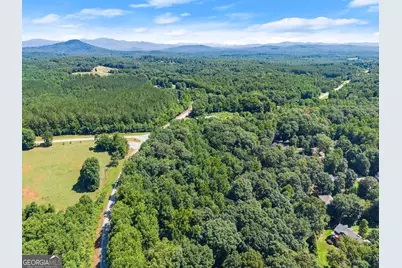 0 Hwy 384, Cleveland, GA 30528 - Photo 20