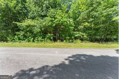 0 Hwy 384, Cleveland, GA 30528 - Photo 28