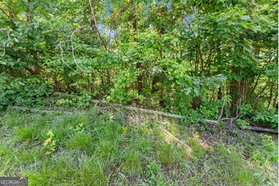 0 Hwy 384, Cleveland, GA 30528 - Photo 12
