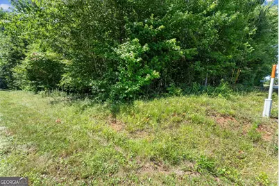 0 Hwy 384, Cleveland, GA 30528 - Photo 34