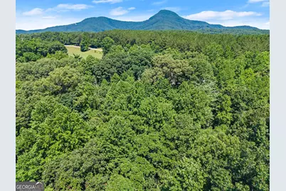 0 Hwy 384, Cleveland, GA 30528 - Photo 26