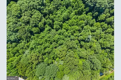 0 Hwy 384, Cleveland, GA 30528 - Photo 16