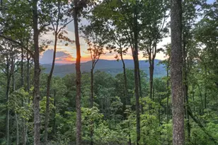 Lot 2 Aubery Ridge, Morganton, GA 30560 - Photo 34