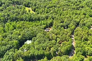 527 Jim Carter Rd, Clarkesville, GA 30523 - Photo 42