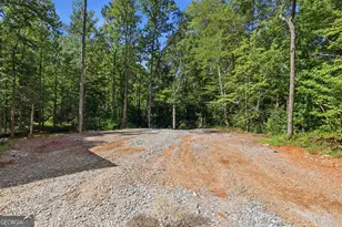 527 Jim Carter Rd, Clarkesville, GA 30523 - Photo 32